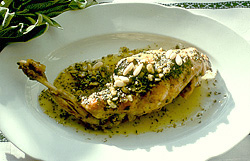 Kaninchenschlegel in Mittelmeerkräuter-Weißwein-Sauce auf einem weißen Teller